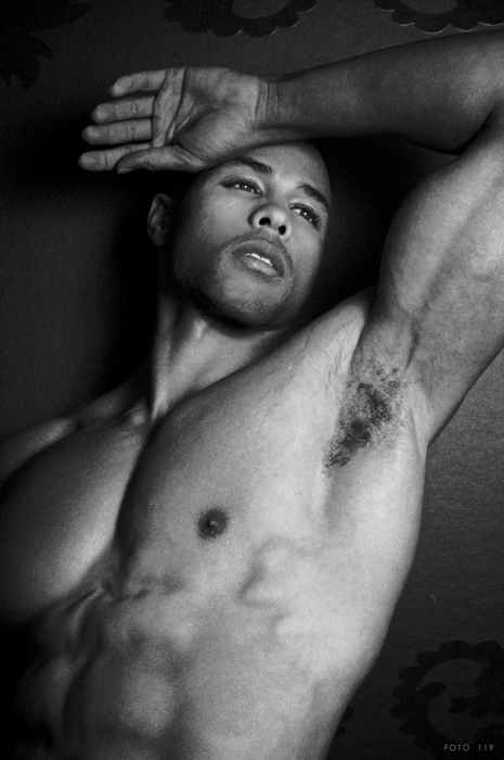 vonteris-new-wm-1165-lr