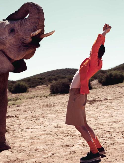 485216_415464091874127_1790131182_n