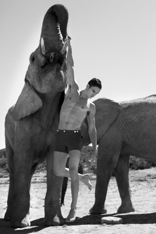 487455_415461728541030_821989962_n