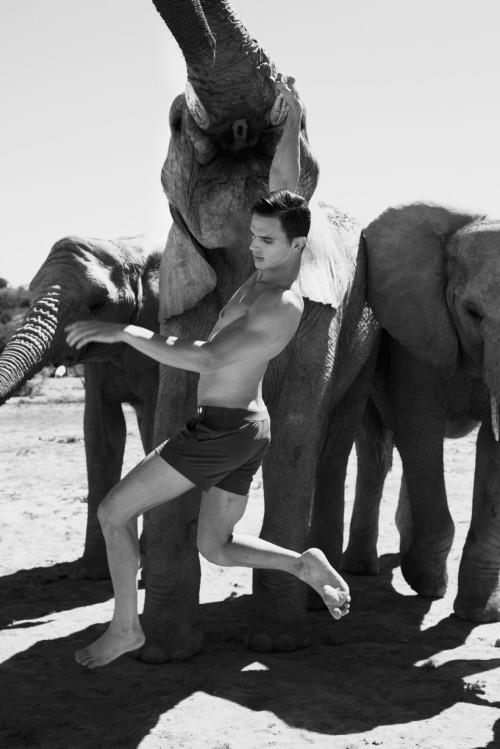 534896_415462018541001_532607734_n