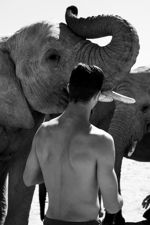 562965_415461735207696_530531418_n