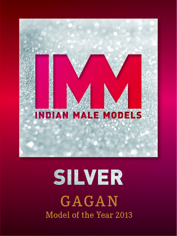 Logo_IMM_Award_SILVER