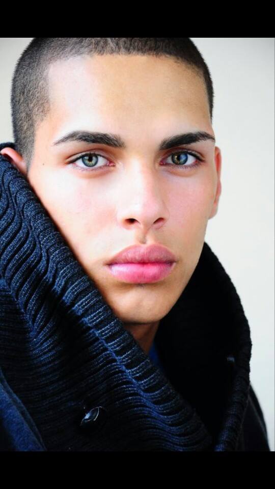 1796691_221570344708768_1797791945_n