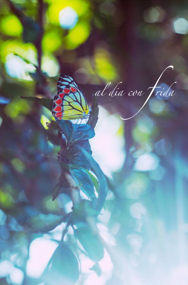 999186_741819942509328_2059747499_n