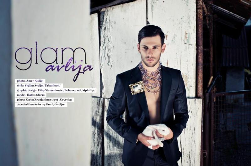 Srdjan Sveljo and Amer Kadic