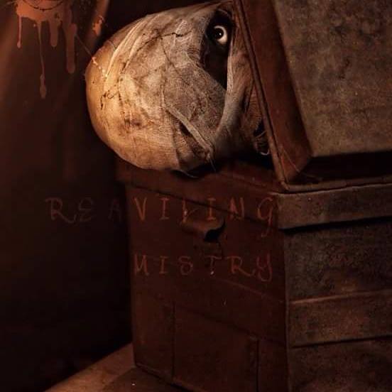 6497_IMM_Indian_Male_Model_Blog