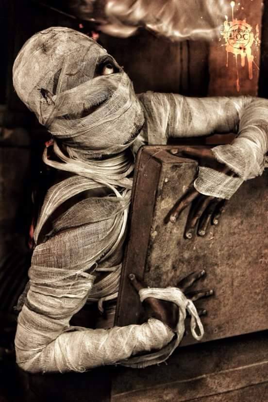 6498_IMM_Indian_Male_Model_Blog